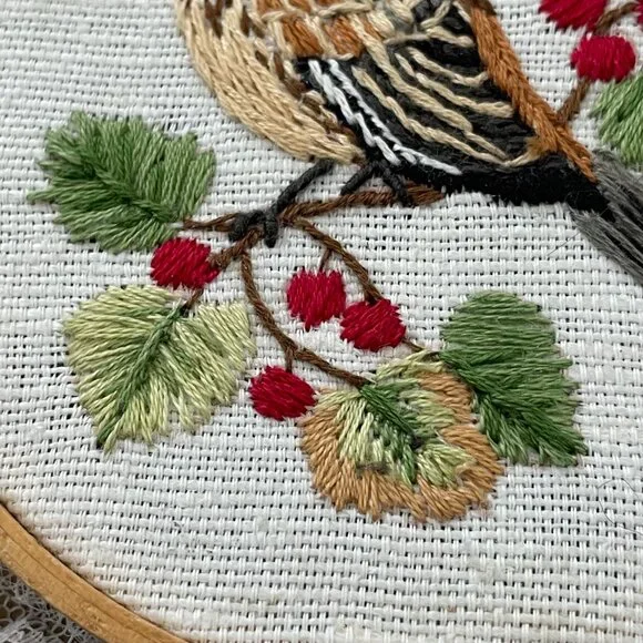 Handmade Birds Embroidery Hoop Art Wall Hanging Lace Needlepoint Sparrow Finch - Picture 6 of 13